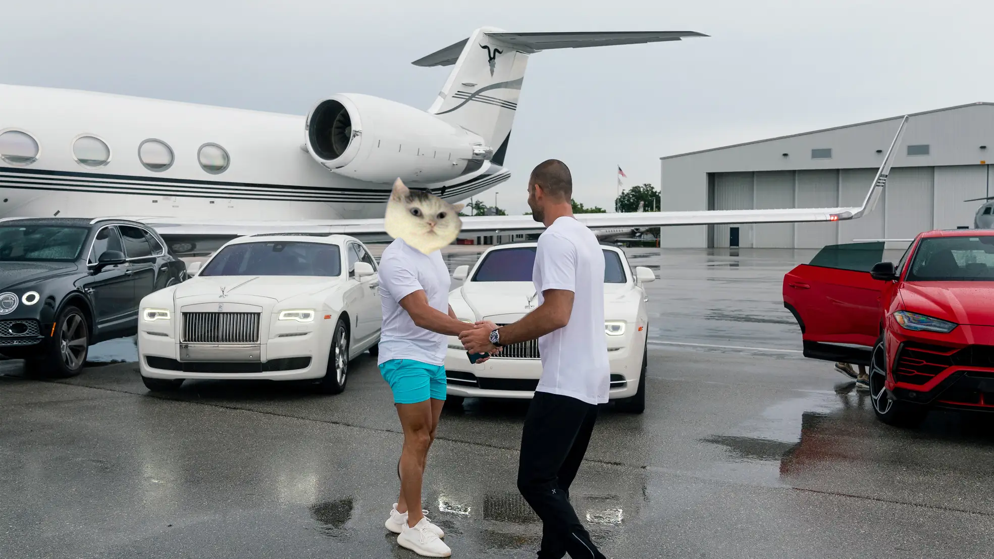009.png