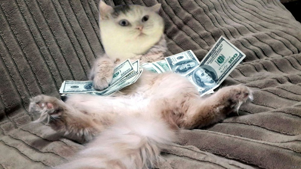 meme09.png