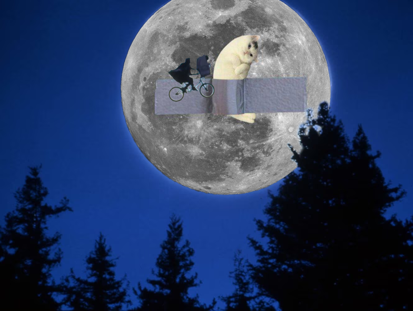 meme1 (1).png